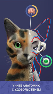 Idle Pet скриншот 6