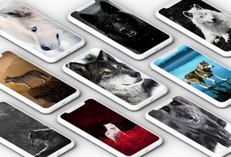 Wolf Wallpaper скриншот 2