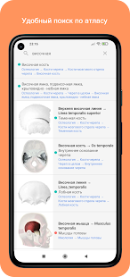 Учи Анат скриншот 3