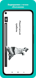 Учи Анат скриншот 6