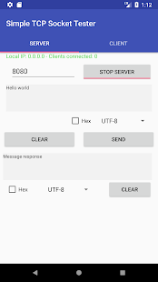 Simple TCP Socket Tester скриншот 3