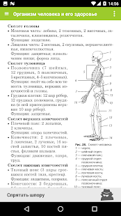 Биология - 5-11 класс ЕГЭ, ОГЭ скриншот 5