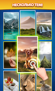 Номер Пузырь скриншот 5