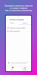 Balance Pay скриншот 3