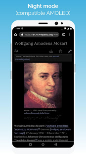 Kiwi Browser скриншот 4