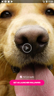 Video Live Wallpaper Maker скриншот 6