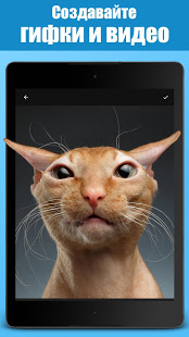 Jellify - фотоэффекты скриншот 5