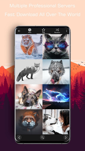 WallKing - HD Wallpapers скриншот 4