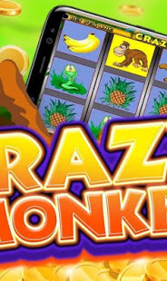 Crazy Monkey скриншот 3
