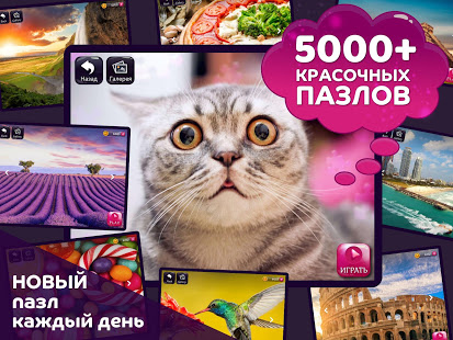 Старые добрые пазлы скриншот 2