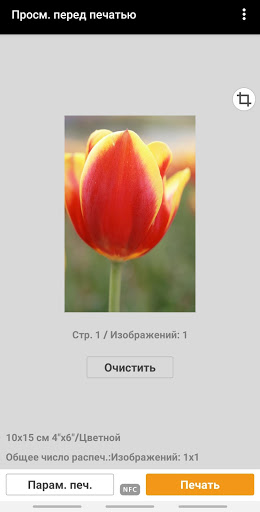 Canon PRINT Inkjet/SELPHY скриншот 4