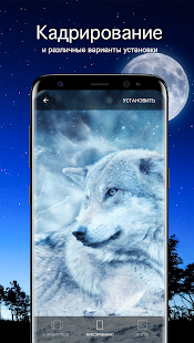 Обои с волками | Волки от 7Fon скриншот 4