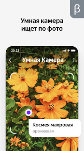 Яндекс — с Алисой (бета) скриншот 4