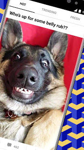 9GAG скриншот 3