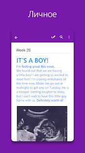 Microsoft OneNote скриншот 5