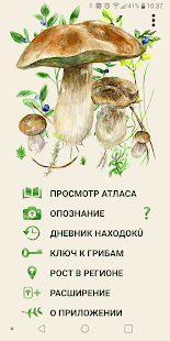 По грибы скриншот 2