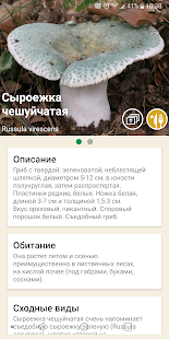 По грибы скриншот 3