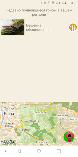 По грибы скриншот 6