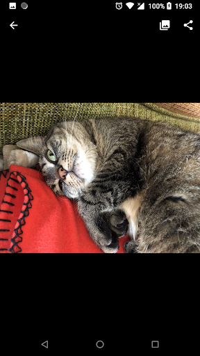 Luma скриншот 3