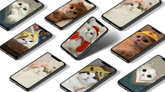 Кошки Обои скриншот 2