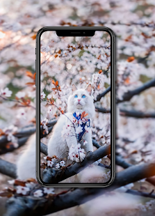 Кошки Обои скриншот 5