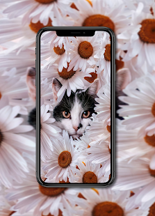 Кошки Обои скриншот 6