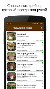 Грибы скриншот 2