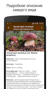 Грибы скриншот 3