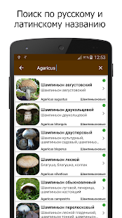 Грибы скриншот 5