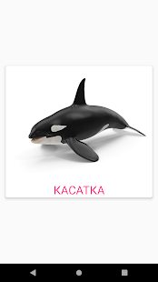 Карточки Домана скриншот 5