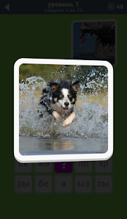 600 Слов скриншот 6