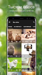 Обои с кошками | Кошки и котята от 7Fon скриншот 2