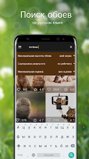 Обои с кошками | Кошки и котята от 7Fon скриншот 3