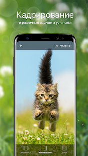 Обои с кошками | Кошки и котята от 7Fon скриншот 4