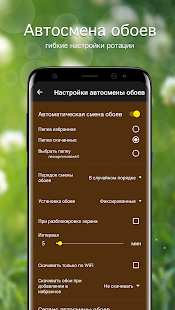 Обои с кошками | Кошки и котята от 7Fon скриншот 5