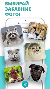 Говорящие животные. В мире животных скриншот 3