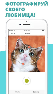 Говорящие животные. В мире животных скриншот 4