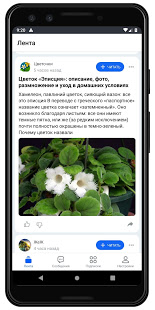 МирТесен скриншот 3