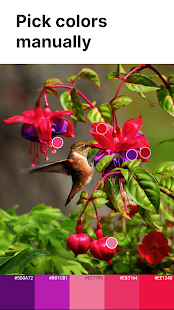 Palette Pantone скриншот 4