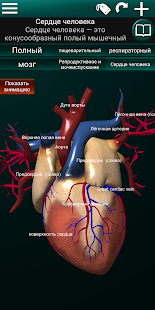 Внутренние органы в 3D (анатомия) скриншот 3