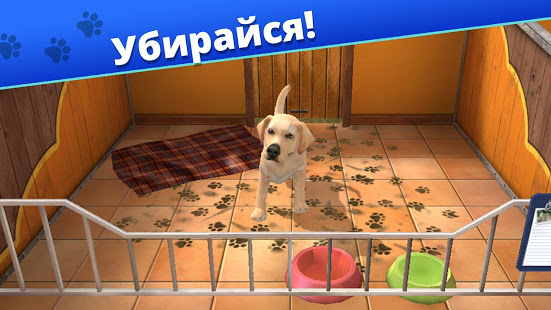 Pet World - приют для животных скриншот 2