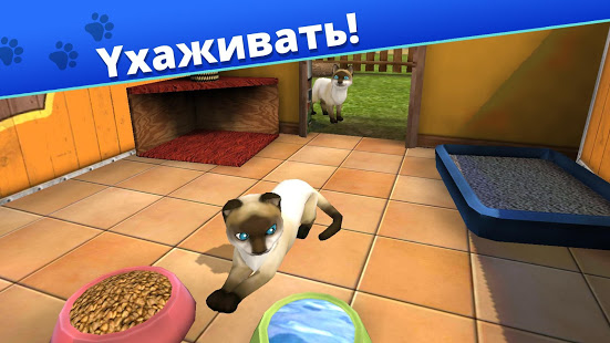 Pet World - приют для животных скриншот 4
