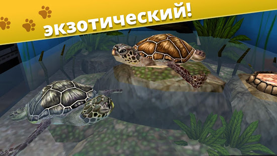 Pet World - приют для животных скриншот 5
