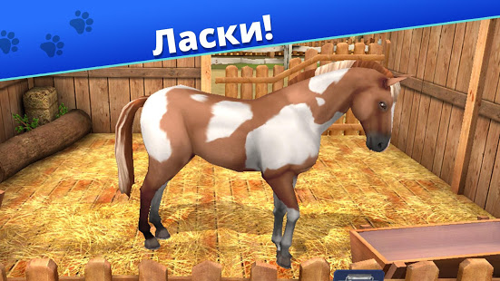 Pet World - приют для животных скриншот 6