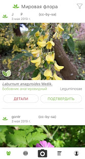PlantNet Plant Identification скриншот 2