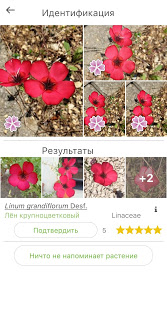 PlantNet Plant Identification скриншот 3