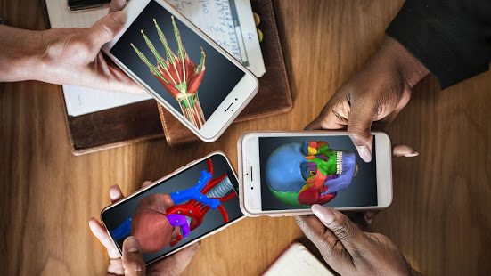 Anatomy Learning скриншот 2