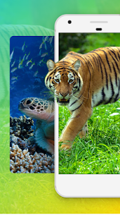 Картинки на Телефон Животные скриншот 3