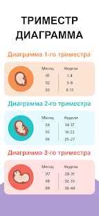 календарь беременности скриншот 4