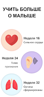 календарь беременности скриншот 6